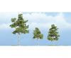Woodland Scenics 1605 Ready Made Premium Trees(Tm) - Deciduous -- Paper Birch; One Each: 1-1/2