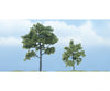 Woodland Scenics 1607 Ready Made Premium Trees(Tm) - Deciduous - - Locust 1 Each; 1 - 3/4 & 2 -