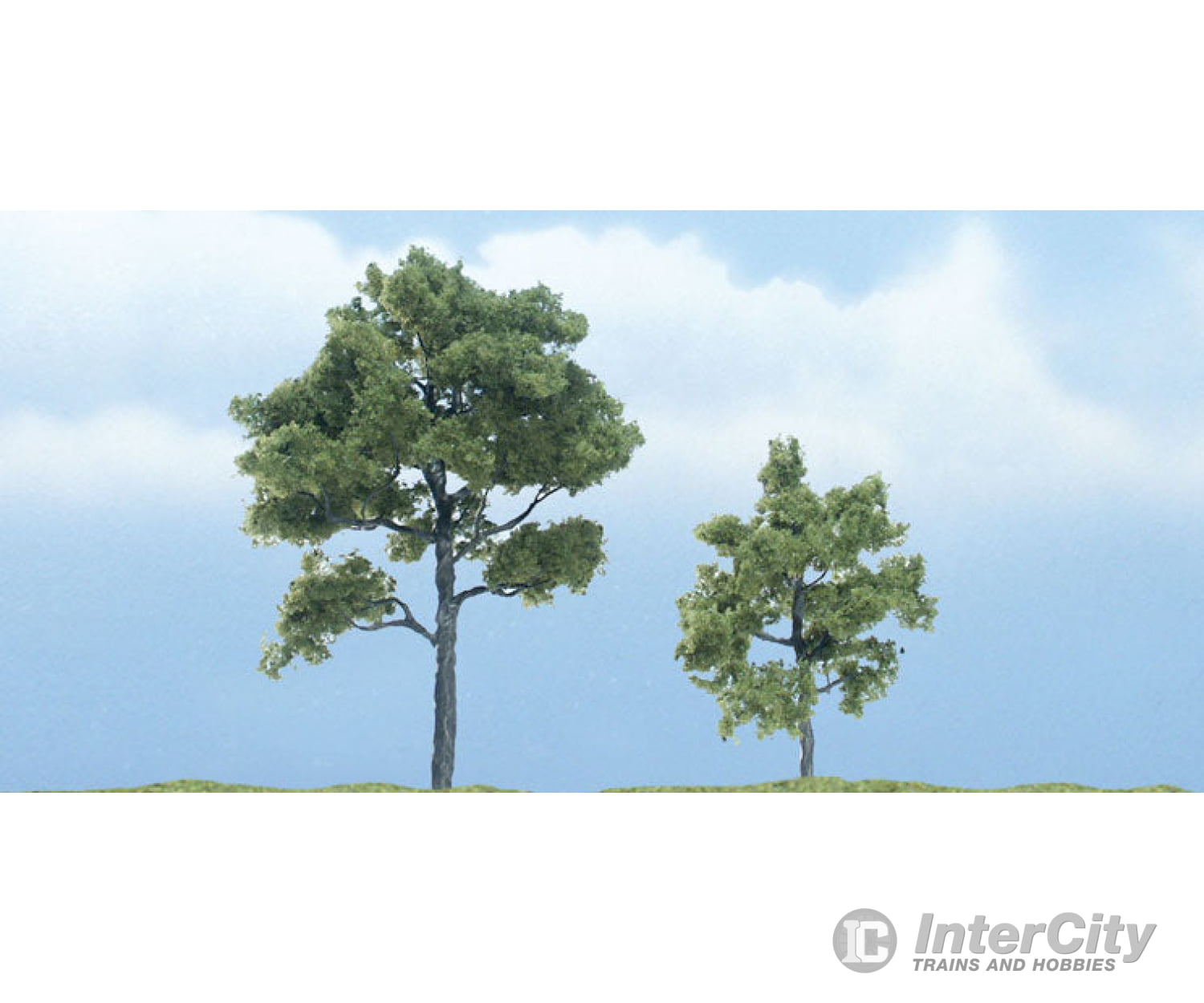 Woodland Scenics 1607 Ready Made Premium Trees(Tm) - Deciduous - - Locust 1 Each; 1 - 3/4 & 2 -