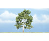 Woodland Scenics 1609 Sycamore Tree - Ready Made Premium Trees(Tm) - - 4 - 1/4’ 11.4Cm Trees &