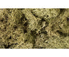 Woodland Scenics 161 Lichen - 1.5Qts 1.4L Spring Green Trees & Vegetation