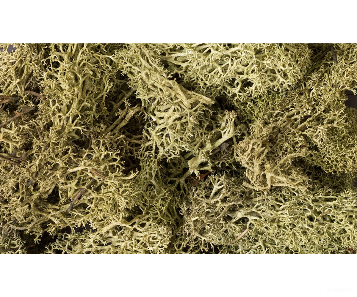 Woodland Scenics 161 Lichen - 1.5Qts 1.4L Spring Green Trees & Vegetation