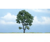Woodland Scenics 1610 Ready Made Premium Trees(Tm) - Deciduous - - Maple 4 - 3/8’ 11.1Cm Trees &