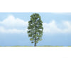 Woodland Scenics 1618 Ready Made Premium Trees(Tm) - Deciduous - - Basswood 4 - 1/2’ 11.4Cm Trees