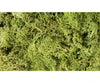 Woodland Scenics 162 Lichen - Light Green Trees & Vegetation