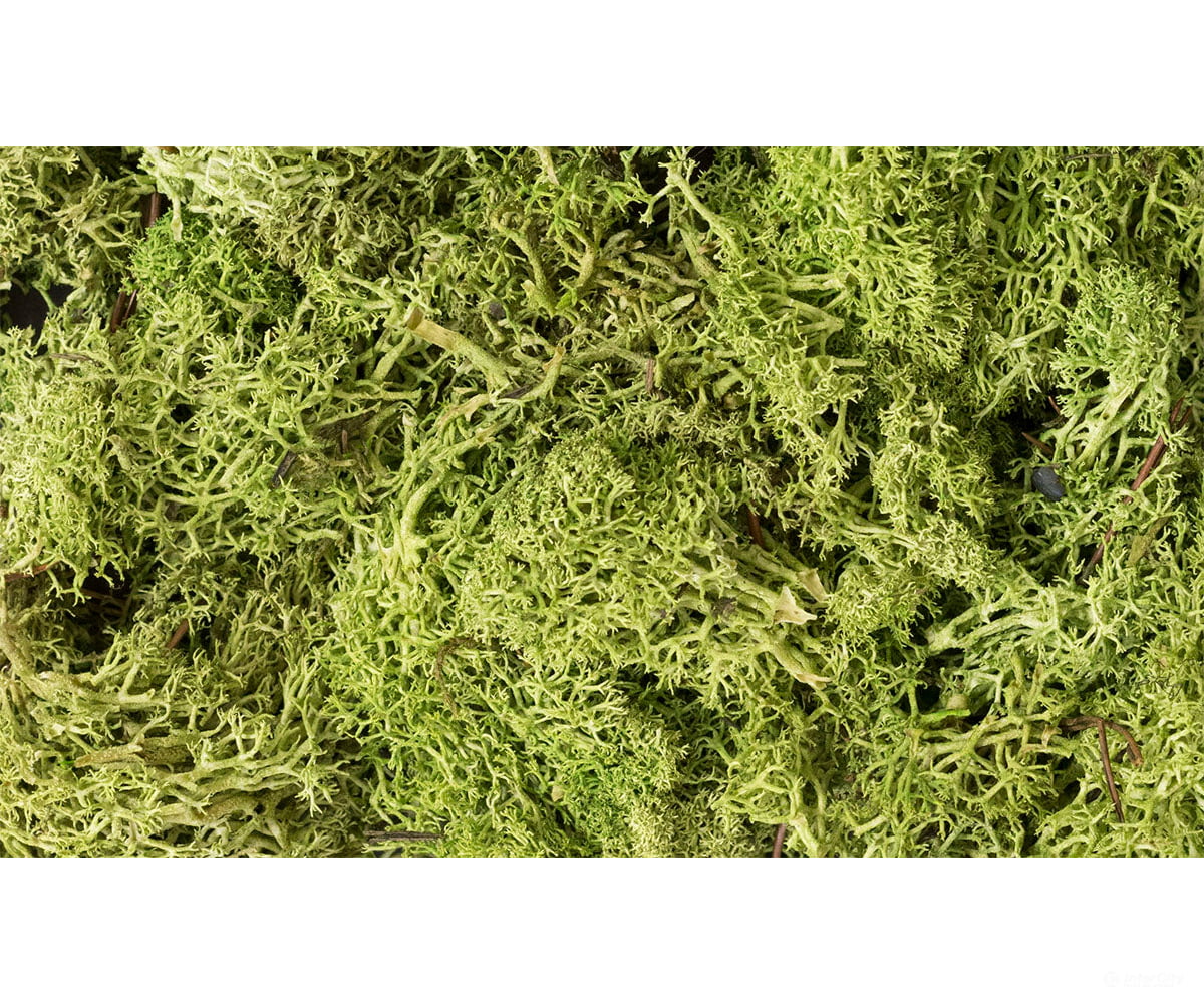 Woodland Scenics 162 Lichen - Light Green Trees & Vegetation