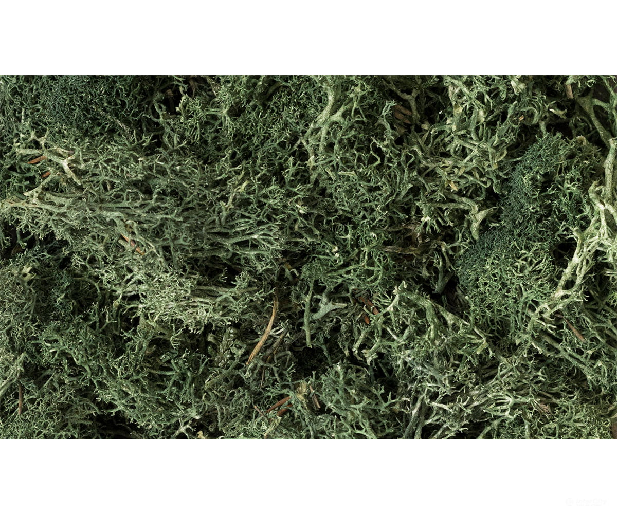 Woodland Scenics 164 Lichen - Dark Green Trees & Vegetation