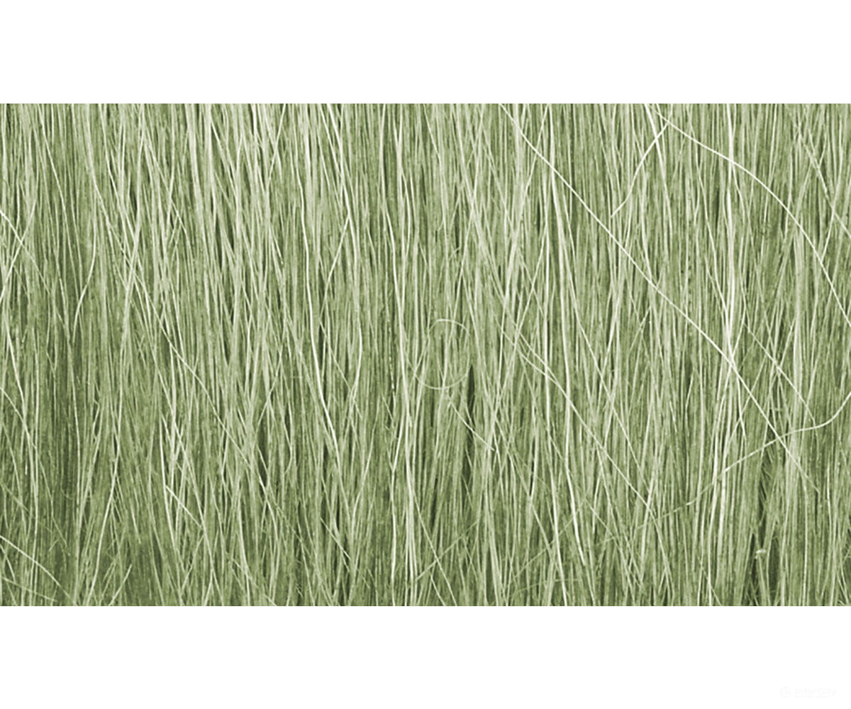 Woodland Scenics 173 Field Grass - Light Green Static Grass & Applicators