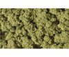 Woodland Scenics 181 Clump Foliage - Burn Green (2.8L) Trees & Vegetation