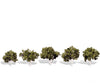 Woodland Scenics 3532 Waters Edge 1-1/4’-2’ - 5/Pk Classic Trees & Vegetation