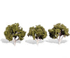 Woodland Scenics 3534 Waters Edge 3’ - 4’ - 3/Pk Classic Trees & Vegetation