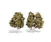 Woodland Scenics 3536 Waters Edge 5’ - 6’ - 2/Pk Classic Trees & Vegetation