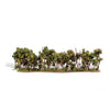 Woodland Scenics 3581 Hedge Row 1’-2’ 1/Pk Classic Trees & Vegetation