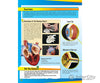 Woodland Scenics 4170 Project Book Books