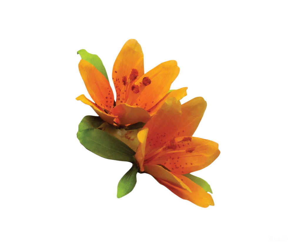 Woodland Scenics 4646 Paper Flower Pollen - 1.8 Cu In. 29.4 Cm. Orange Flock & Turf
