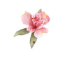 Woodland Scenics 4647 Paper Flower Pollen - 1.8 Cu In. 29.4 Cm. Red Flock & Turf