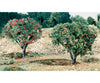 Woodland Scenics 47 Fruit - Apple/Orange Flock & Turf