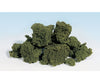 Woodland Scenics 58 Foliage Cluster Medium Green (45 Cu.in.) Trees & Vegetation
