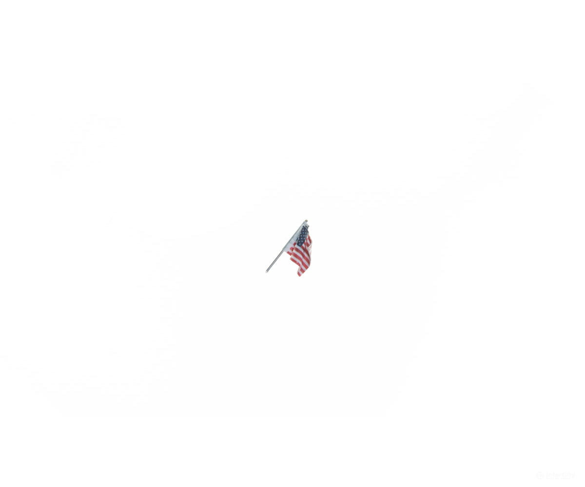 Woodland Scenics 5953 Wall - Mount U.s. Flag - Just Plug(Tm) - - Small 1/2’ 1.3Cm Scenery Details