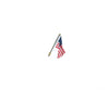 Woodland Scenics 5954 Wall - Mount U.s. Flag - Just Plug(Tm) - - Medium 1 - 3/8’ 3.5Cm Scenery