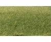 Woodland Scenics 614 Static Grass - Field System Medium Green 1/16’ 2Mm Fibers & Applicators