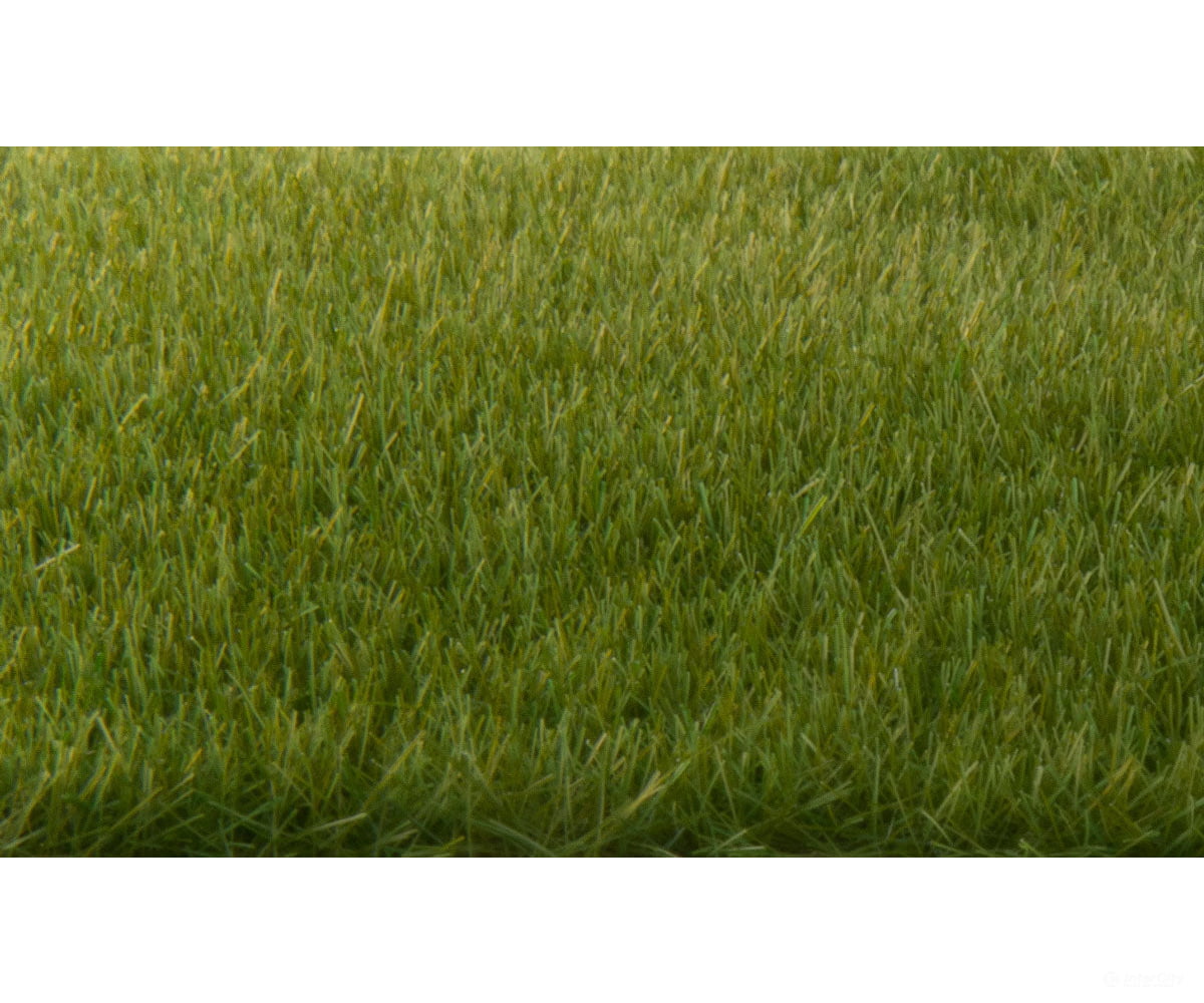 Woodland Scenics 617 Static Grass - Field System 1/8’ 4Mm Fibers Dark Green & Applicators