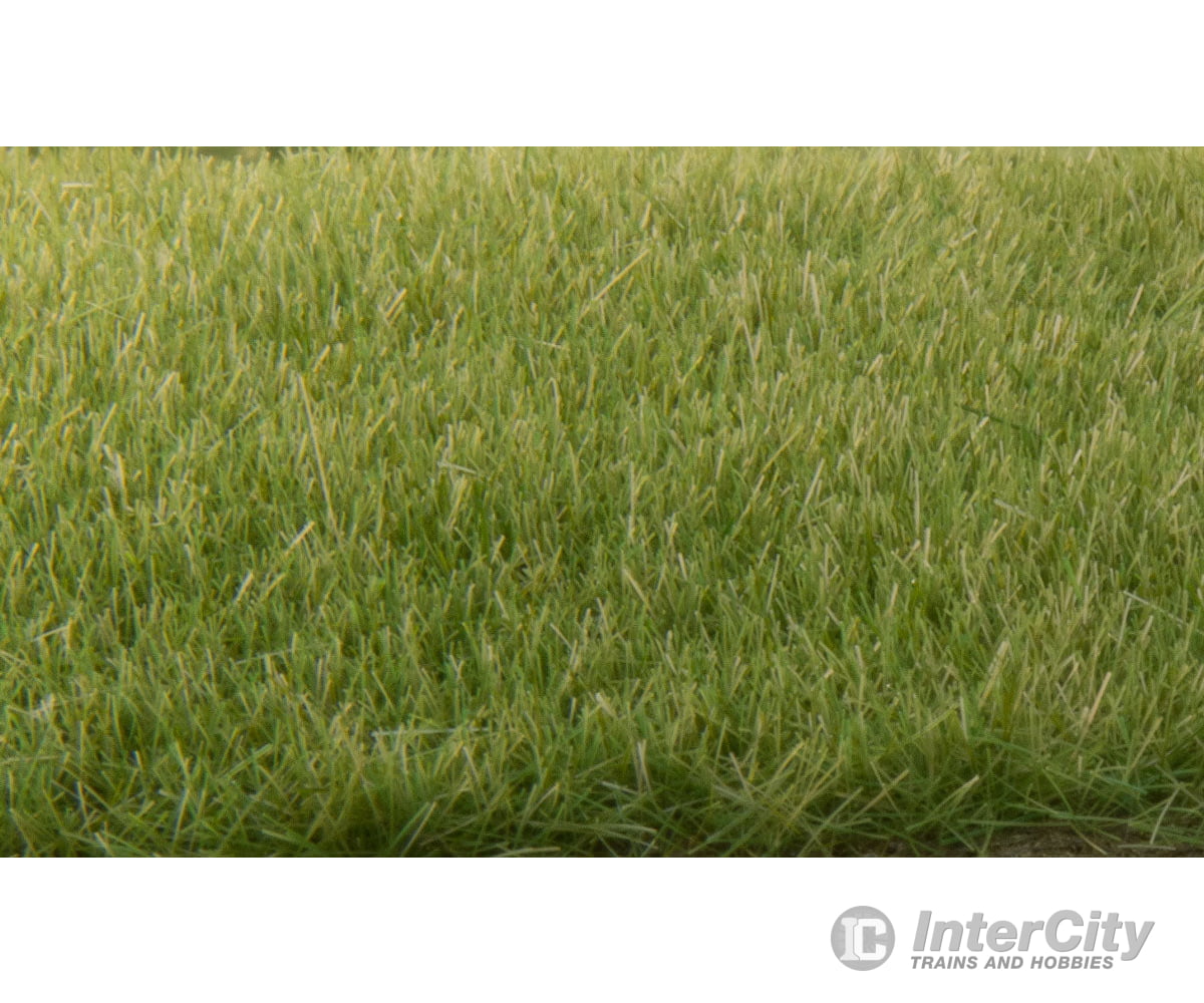 Woodland Scenics 618 Static Grass Medium Green 4Mm & Applicators