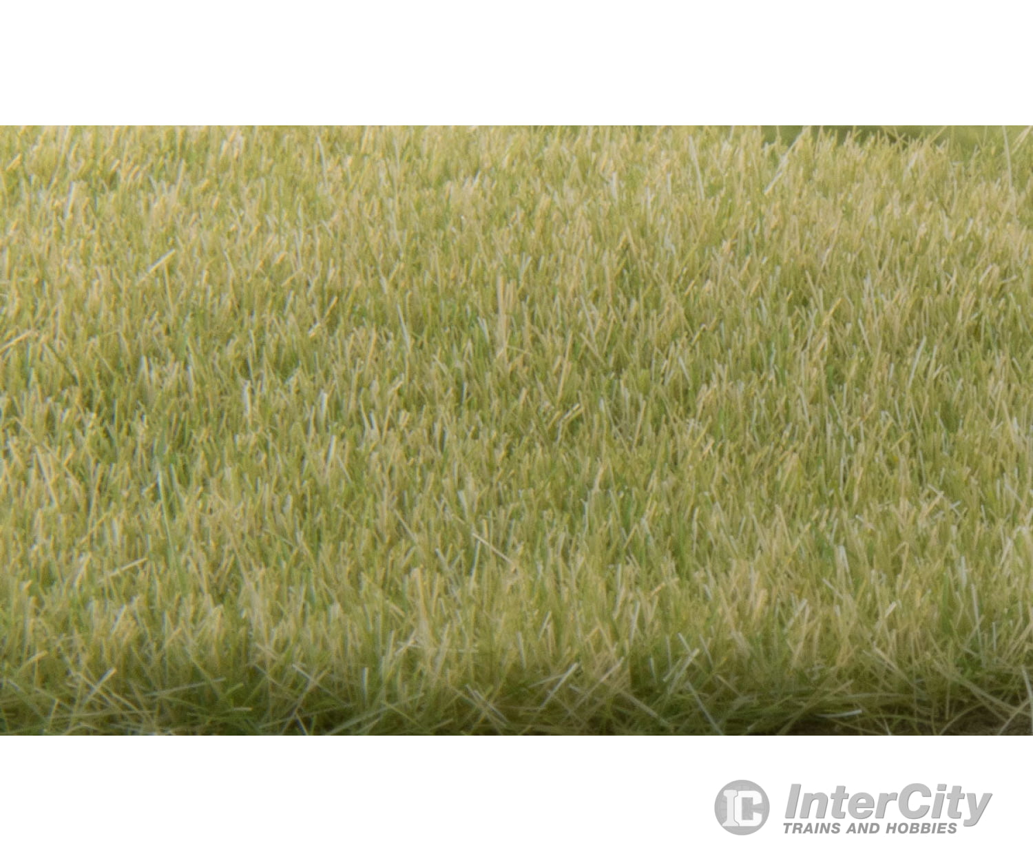 Woodland Scenics 619 Static Grass - Field System 1/8’ 4Mm Fibers Light Green & Applicators