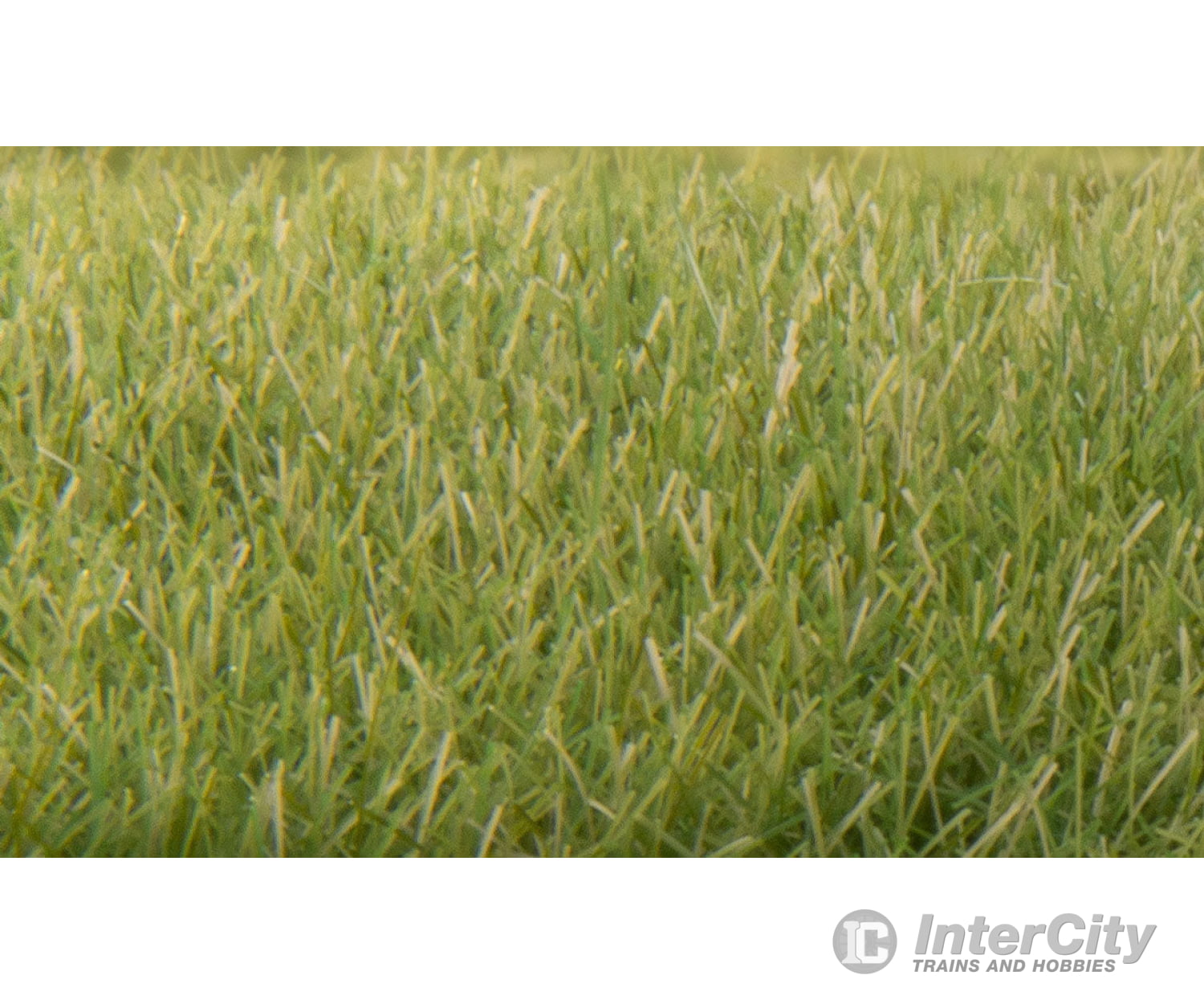 Woodland Scenics 622 Static Grass - Field System Medium Green 1/4’ 7Mm Fibers & Applicators