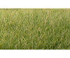 Woodland Scenics 622 Static Grass - Field System Medium Green 1/4’ 7Mm Fibers & Applicators
