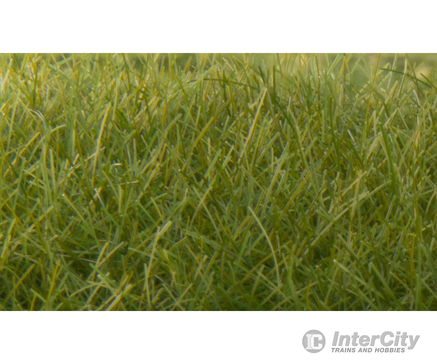 Woodland Scenics 625 Static Grass - Field System Dark Green 1/2’ 12Mm Fibers & Applicators