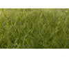Woodland Scenics 625 Static Grass - Field System Dark Green 1/2’ 12Mm Fibers & Applicators