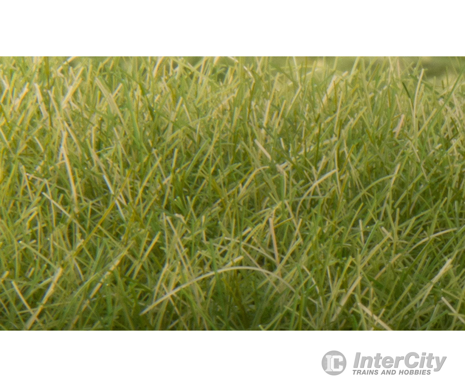 Woodland Scenics 626 Static Grass - Field System Medium Green 1/2’ 12Mm Fibers & Applicators