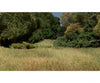 Woodland Scenics 629 Field System - Plant Hues 1.8 Cubic Inches 29.5 Centimeters Each Golden Wheat
