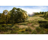 Woodland Scenics 638 Briar Patch - Field System Medium Green Static Grass & Applicators