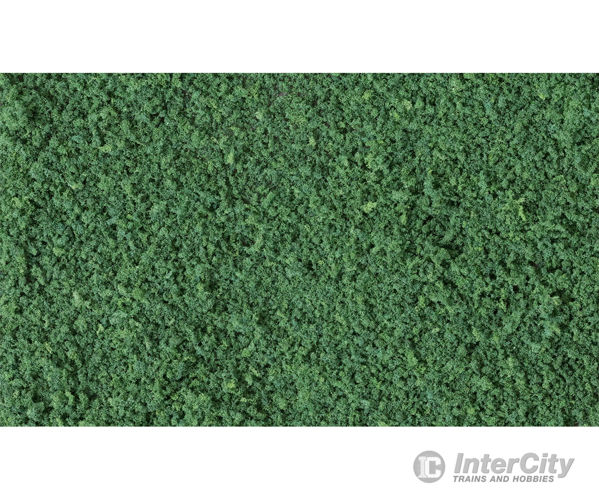 Woodland Scenics 65 Coarse Turf - Dark Green (12 Oz) Flock & Turf