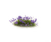 Woodland Scenics 772 Violet Flowering Tufts Grass & Scenery Mats
