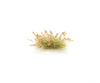 Woodland Scenics 775 Brown Seeding Tufts Grass & Scenery Mats