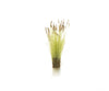 Woodland Scenics 779 Brown Tipped Prairie Grass & Scenery Mats