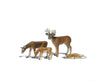 Woodland Scenics 2543 Scenic Accents(R) Figures - - Buck & Family