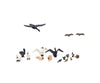 Woodland Scenics Ho 1969 Scenic Accents(R) - Ducks & Swans Pkg(17) Figures