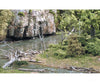 Woodland Scenics 29 Scatter Material - 1 - 3/4Oz 49.6G - - Dead Fall Other Scenery