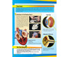 Woodland Scenics 4170 Project Book Books